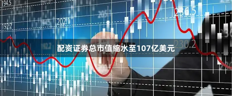 配资证券总市值缩水至107亿美元