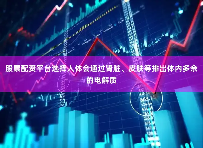 股票配资平台选择人体会通过肾脏、皮肤等排出体内多余的电解质
