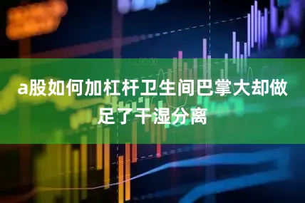 a股如何加杠杆卫生间巴掌大却做足了干湿分离