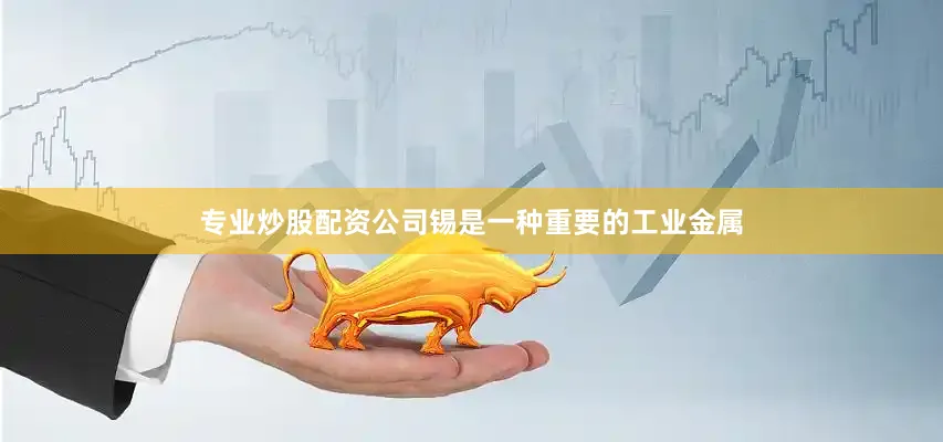 专业炒股配资公司锡是一种重要的工业金属