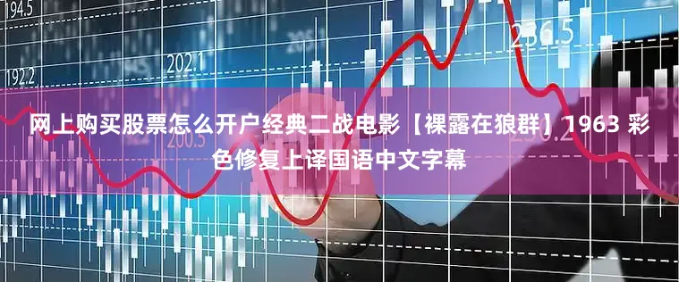 网上购买股票怎么开户经典二战电影【裸露在狼群】1963 彩色修复上译国语中文字幕